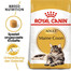 ROYAL CANIN Maine Coon Adult 6x400 g