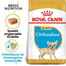 ROYAL CANIN Chihuahua Puppy junior 12x500 g