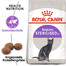 ROYAL CANIN Sterilised 37 ROYAL CANIN Sterilised 37 Trockenfutter für adulte, kastrierte Katzen 2x2 kg