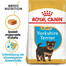 ROYAL CANIN Yorkshire Terrier Puppy Junior 12x0.5 kg
