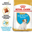ROYAL CANIN Jack Russell Terrier Puppy Junior Trockenfutter für Welpen bis zu 10 Monaten, Jack Russell Terrier 2x1.5 kg