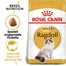ROYAL CANIN Ragdoll adult 6x400 g