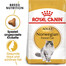 ROYAL CANIN Norvegian Trockenfutter für adulte Norwegische Waldkatzen 2x2 kg