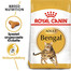 ROYAL CANIN Bengal Adult 4x2 kg