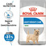 ROYAL CANIN CCN Mini Light Weight Care Trockenfutter für erwachsene Hunde kleiner Rassen mit Neigung zu Übergewicht 2x1 kg