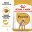 ROYAL CANIN Poodle Adult 2x1,5 kg