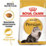ROYAL CANIN Persian Adult 24x400 g