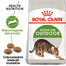 ROYAL CANIN Outdoor 24x400 g