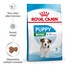 ROYAL CANIN Mini Puppy / Junior Trockenfutter für Welpen kleiner Rassen im Alter von 2 bis 10 Monaten 12x800 g