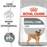 ROYAL CANIN CCN Mini Dental Care Trockenfutter für adulte Hunde kleiner Rassen, das die Zahnsteinbildung reduziert 2x1 kg
