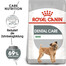 ROYAL CANIN CCN Mini Dental Care Trockenfutter für adulte Hunde kleiner Rassen, das die Zahnsteinbildung reduziert 4x1 kg