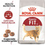ROYAL CANIN REGULAR FIT 32  Trockenfutter für adulte Katzen, zur Unterstützung eines idealen Zustands 24x400 g