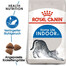 ROYAL CANIN Indoor 27 Trockenfutter für adulte Wohnungskatzen 12x400 g
