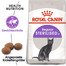 ROYAL CANIN Sterilised Trockenfutter für adulte kastrierte Katzen 12x400 g