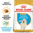 ROYAL CANIN Golden retriever junior 2x1 kg