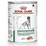 ROYAL CANIN Diabetic Special 24x410 g