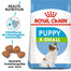 ROYAL CANIN X-Small Puppy junior 12x0.5 kg