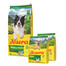 JOSERA Salmon and Potato Adult getreidefreies Futter für Hunde mit empfindlichem Magen 12,5kg + 2x900g GRATIS