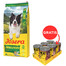JOSERA Salmon and Potato Adult 12,5kg + JOSERA Meat Lovers Pure 6x400g GRATIS