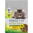 PERFECT FIT Natural Vitality 1+ sucha karma pełnoporcjowa dla dorosłych kotów z kurczakiem i indykiem 650 g