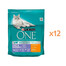 PURINA ONE COAT & HAIRBALL Trockenfutter mit Huhn und Vollkorn für adulte Katzen 12x800g