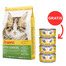 JOSERA Kitten GrainFree 10 kg + 4 Dosen GRATIS