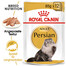 ROYAL CANIN Persian Adult Nassfutter Pastete für ausgewachsene Perserkatzen 48x85 g