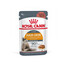 ROYAL CANIN Hair&Skin in Soße 24x85 g