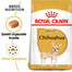 ROYAL CANIN Chihuahua Adult 2x500 g