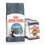 ROYAL CANIN Hairball Care 10kg + Intense BEAUTY Nassfutter in Soße 85g x12