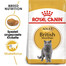ROYAL CANIN British Shorthair Katzenfutter trocken für Britisch Kurzhaar 3x400 g