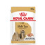 ROYAL CANIN Shih Tzu Adult Nassfutter Stücke in Soße für adulte Shih Tzu 48 x 85 g