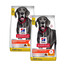 HILL'S Science Plan Canine Adult Large Perfect Digestion Chicken and Brown Rice Futter für gesunde Verdauung für große Hunde 2x14kg
