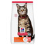 HILL'S Science Plan Feline Adult Salmon Trockenfutter mit Lachs für adulte Katzen 10 kg