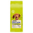 Dog Chow Adult jagnięcina 14 kg