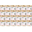 BRIT Veterinary Diet Hypoallergenic Salmon&Pea mit Lachs und Erbsen für Katzen 24x200 g
