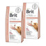 BRIT Grain Free Veterinary Diet Renal Ei und Erbse für adulte Hunde mit Nierenversagen 2x12 kg