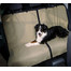 TRIXIE Auto-Schondecke für Hund beige 1,40×1,20 m