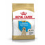ROYAL CANIN Labrador retriever junior 12+2 kg gratis