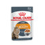 ROYAL CANIN Intense Beauty Katzenfutter nass in Gelee für schönes Fell 85 g
