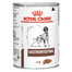 ROYAL CANIN Dog gastro intestinal 6 x 400 g
