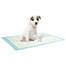ZOLUX absorbierender Teppich für Hunde 60x40cm  - 10