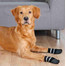 TRIXIE Hundesocken Anti-Rutsch-Gummierung S–M, 2 St.