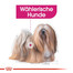 ROYAL CANIN EXIGENT MINI Trockenfutter für wählerische kleine Hunde 3 kg