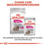 ROYAL CANIN EXIGENT MINI Trockenfutter für wählerische kleine Hunde 3 kg