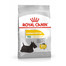 ROYAL CANIN Mini Dermacomfort 10 kg