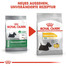 ROYAL CANIN Mini Dermacomfort 10 kg