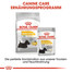 ROYAL CANIN Mini Dermacomfort 10 kg