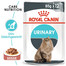 ROYAL CANIN Urinary Care Katzenfutter nass für gesunde Harnwege 85 g