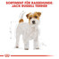 ROYAL CANIN Jack Russell Terrier Adult Hundefutter trocken 500 g